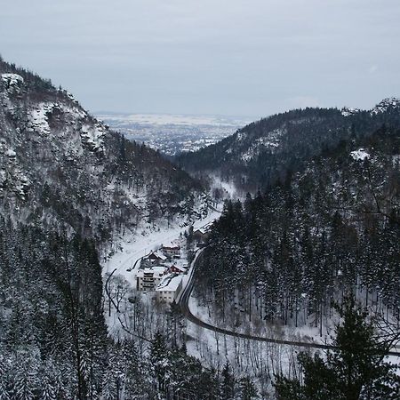 Апартаменти Wohlfuehlzeit Im Zittauer Gebirge Екстер'єр фото